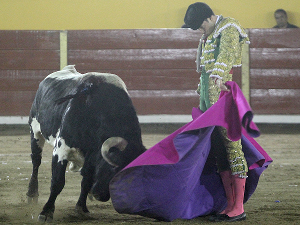 Sald�var regal� un toro