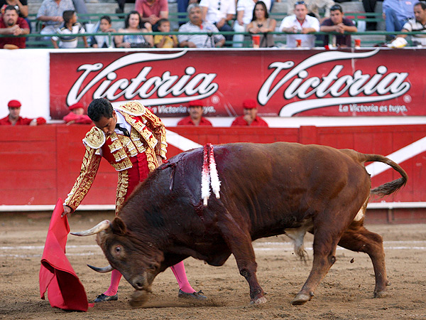 Un muletazo de 24 kilates