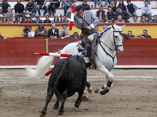 Dejando la banderilla