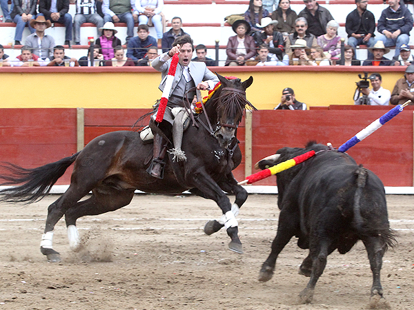 Un gran toro de Rancho Seco