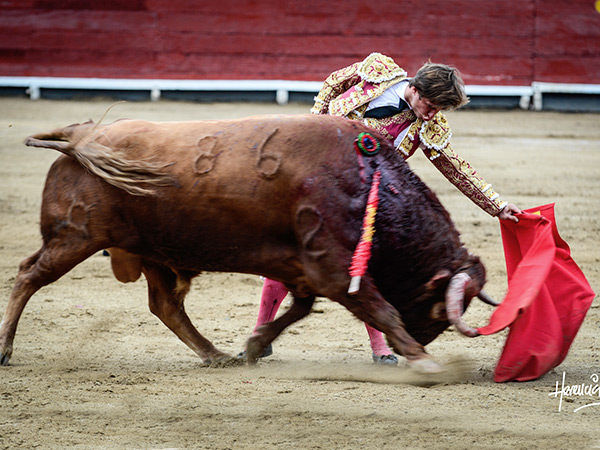Templando al casta�o