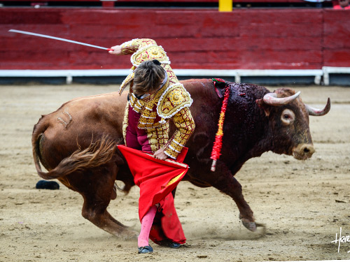 Un rebuscado molinete