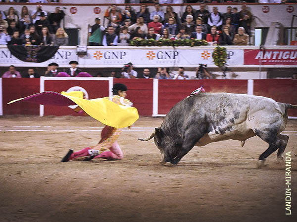 Luis David, a portagayola