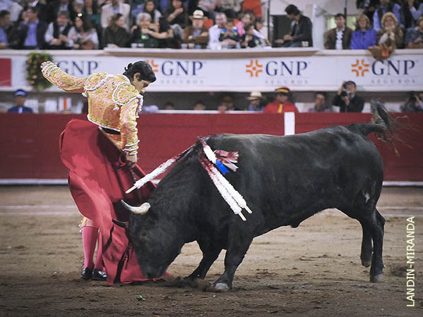 Cobijado con el cari�o del p�blico