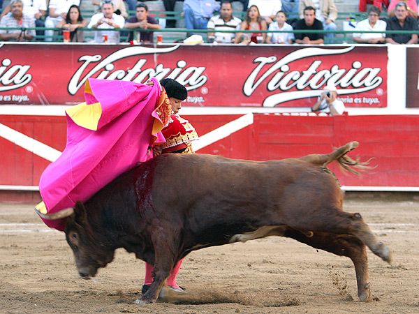 Saltillera de Luis Bol�var