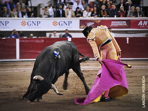 Desmayando los brazos