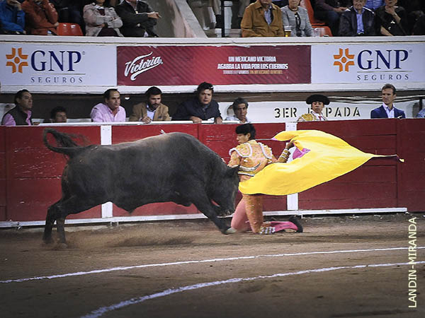 Luis David debut� en 