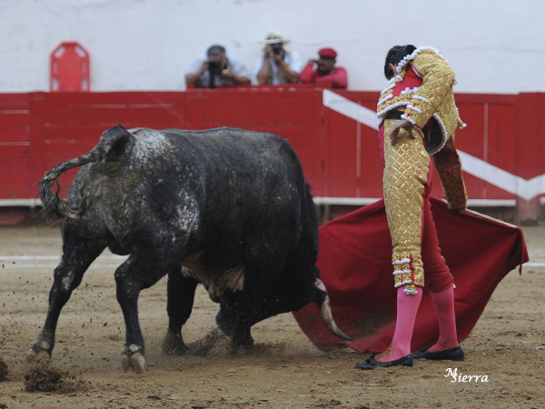 Asentado y con garbo