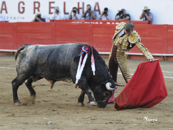 Magn�fico concepto