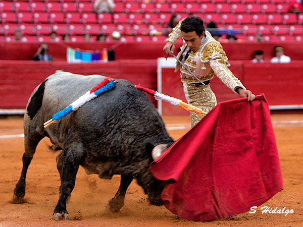 Dificultades en su primero