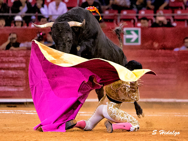 Javier Castro, por todo