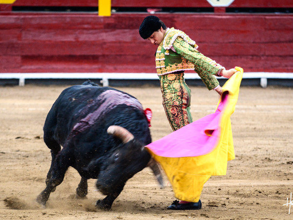 Siempre variado en quites