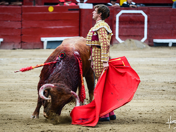 Un desd�n con sello propio