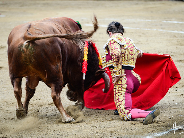 Mando, rodilla en tierra