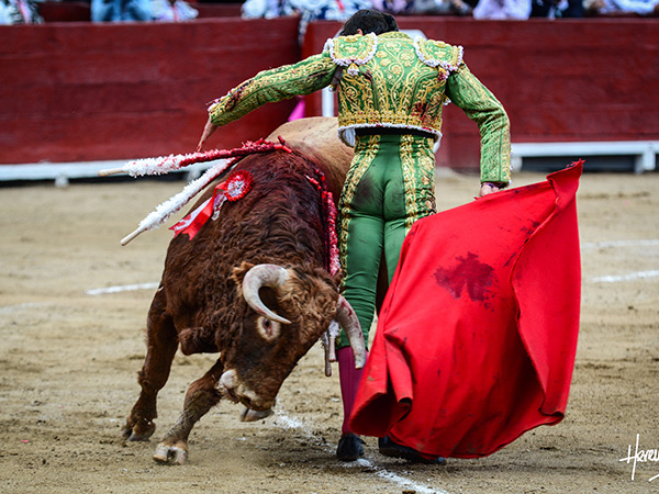 Pinturer�a en la arrucina