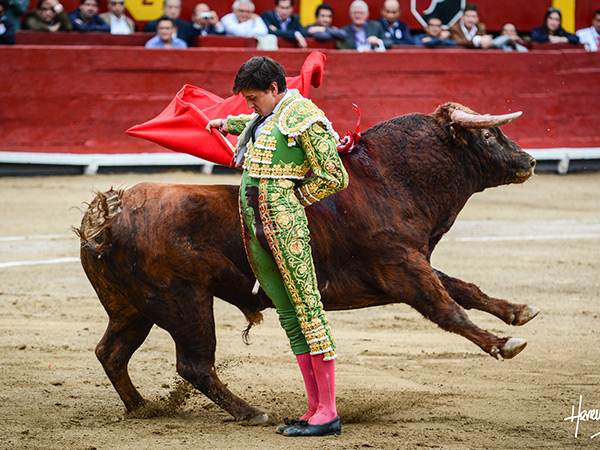 Manoletinas para terminar