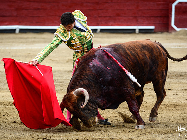 Sometiendo la embestida