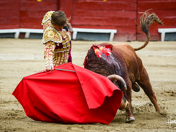 Tap�ndole bien la cara