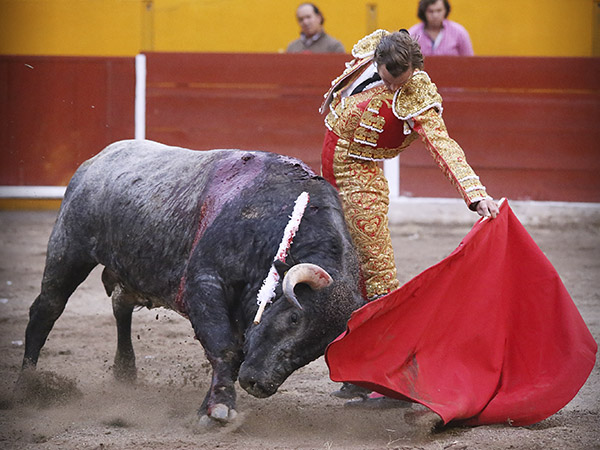 Sentimiento al natural