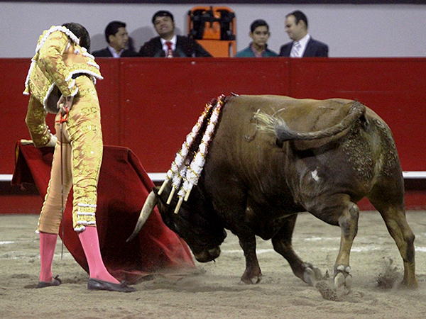 Calidad en la embestida