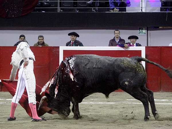 Faena plena de maestr�a