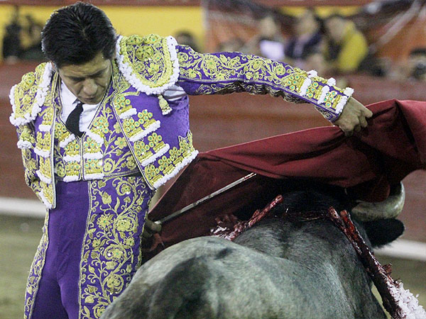 Embarr�ndose al toro