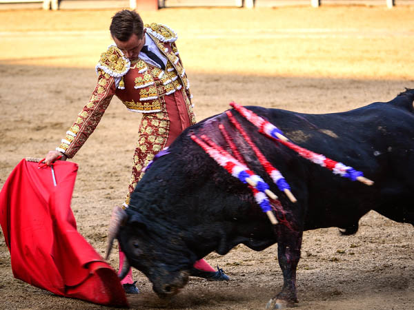 La codicia del ejemplar