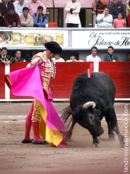 Ver�nicas de Adame