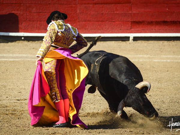 Expresi�n pl�stica