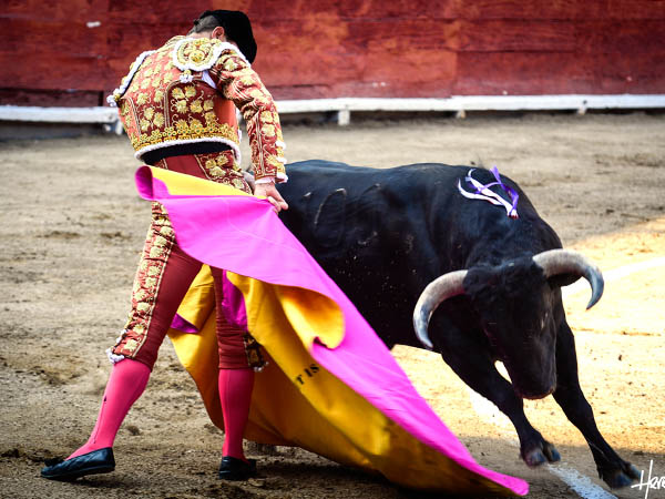 Segunda de abono en Lima