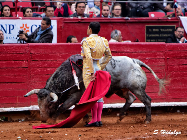 Desd�n a la mexicana