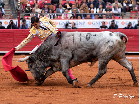 Templando la embestida