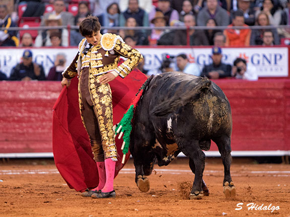 En los terrenos del toro