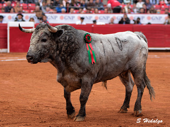 Espectacular belleza