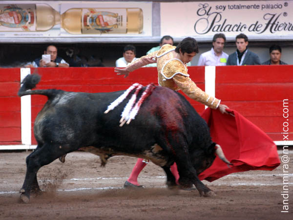 Calibrando al ejemplar