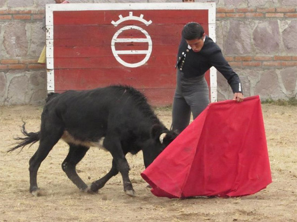 Jos� Mar�a Pastor