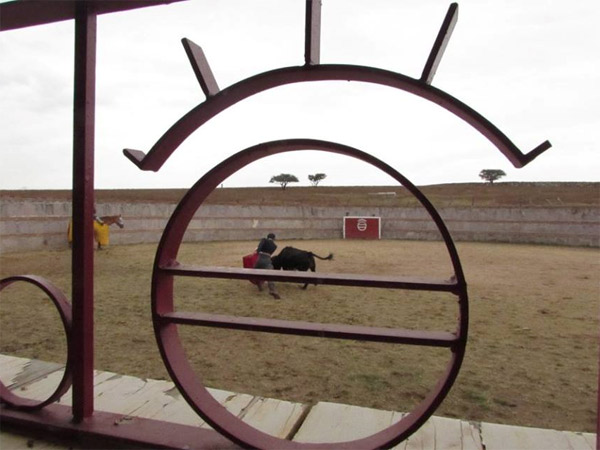 El fierro de la casa