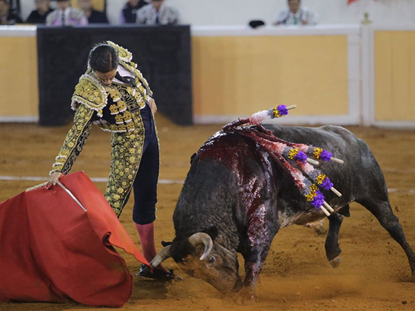 Sometiendo la embestida