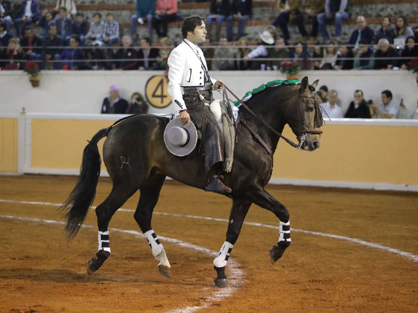 El rejoneador Andr�s Romero