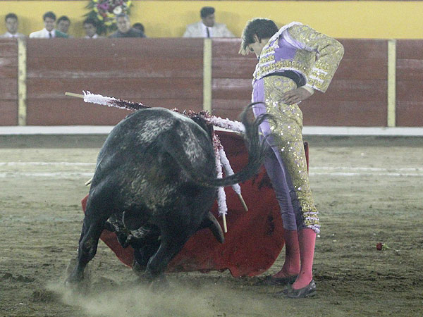 No tuvo un lote propicio