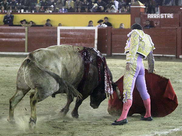 Llev�ndolo muy toreado