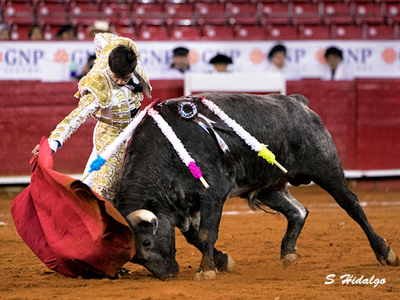 Ibelles, a paso firme