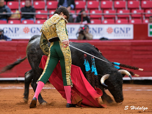 Llaguno, con el toreo en las venas