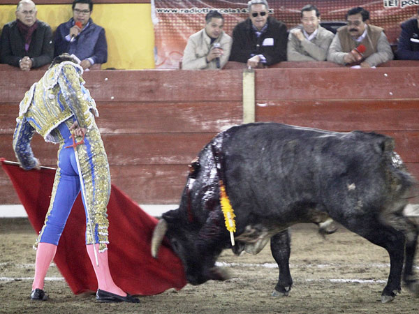 Llev�ndolo muy toreado