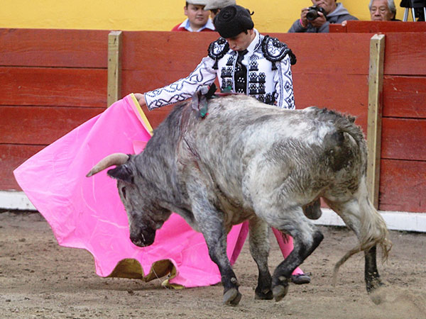 El cardeno de Tenexac