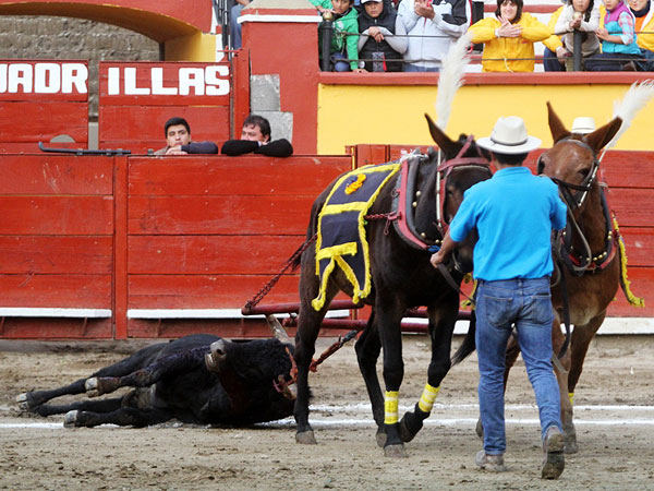 Premio de arrastre lento