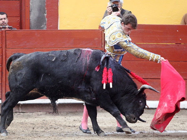 Haciendo uso del oficio