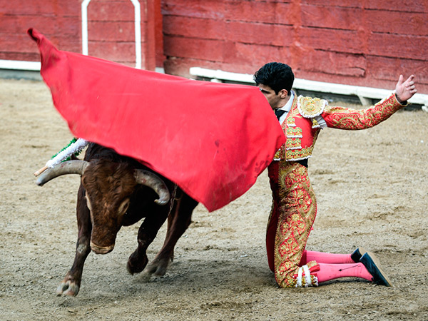 El inicio de la faena