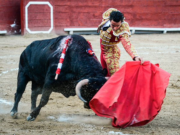 Estir�ndose en un natural