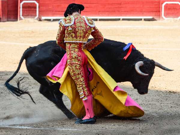 Vertical media ver�nica